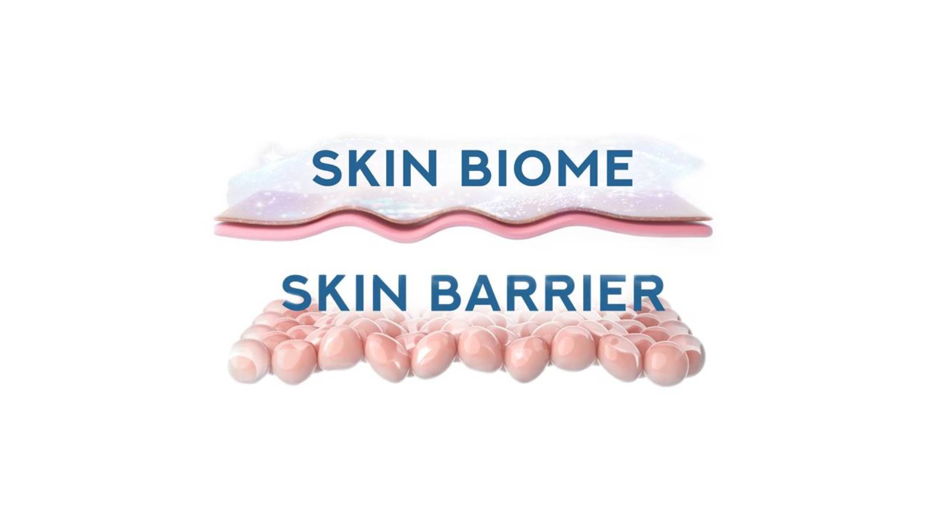 Illustration of skin biome and skin barrier layers.