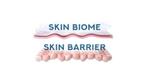 Illustration of skin biome and skin barrier layers.