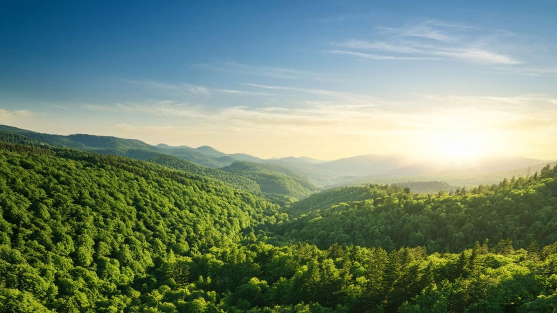 KLHK RI's Appreciation for Unilever Indonesia